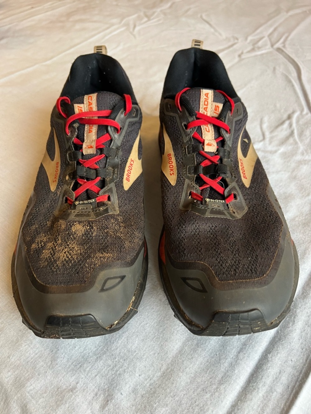 Men’s Brooks Cascadia 15 GTX